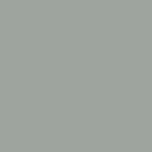 Maatwerk kleur: Sigma/Histor – PPG 10-994
