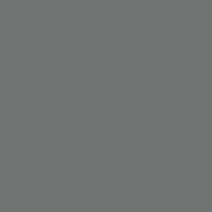 Maatwerk kleur: Sigma/Histor – PPG 994-1029