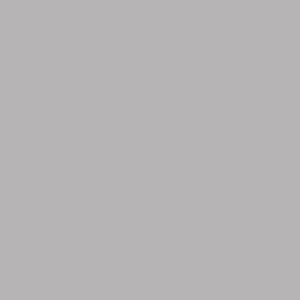 Maatwerk kleur: Sigma/Histor – PPG 994-1029
