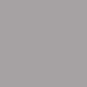Maatwerk kleur: Sigma/Histor – PPG 994-1029