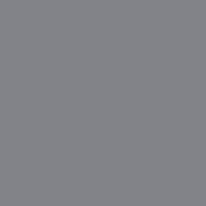 Maatwerk kleur: Sigma/Histor – PPG 994-1029