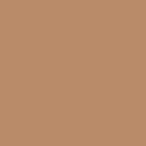 Maatwerk kleur: Sigma/Histor – PPG 1065-1101