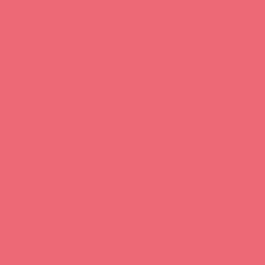 Maatwerk kleur: Sigma/Histor – PPG 1172-1208