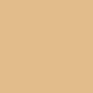 Maatwerk kleur: Sigma/Histor – PPG 10-994