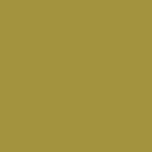 Maatwerk kleur: Sigma/Histor – PPG 1208-1244