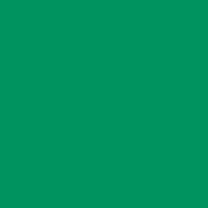 Maatwerk kleur: Sigma/Histor – PPG 1208-1244