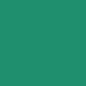 Maatwerk kleur: Sigma/Histor – PPG 1208-1244