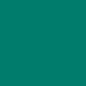 Maatwerk kleur: Sigma/Histor – PPG 1208-1244