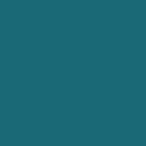 Maatwerk kleur: Sigma/Histor – PPG 10-994