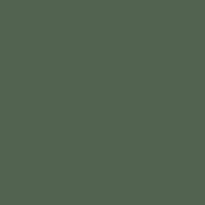 Maatwerk kleur: Sigma/Histor – PPG 10-994