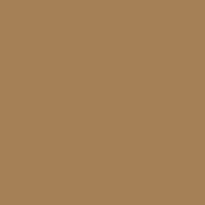 Maatwerk kleur: Sigma/Histor – PPG 10-994
