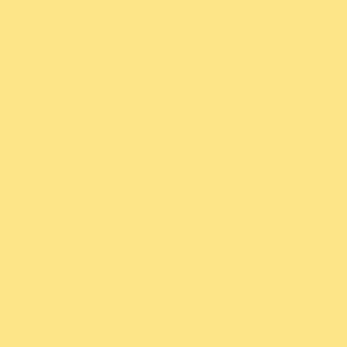 Maatwerk kleur: RAL Design – 90-140