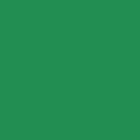 Maatwerk kleur: Sikkens/Flexa – Speciale Kleuren