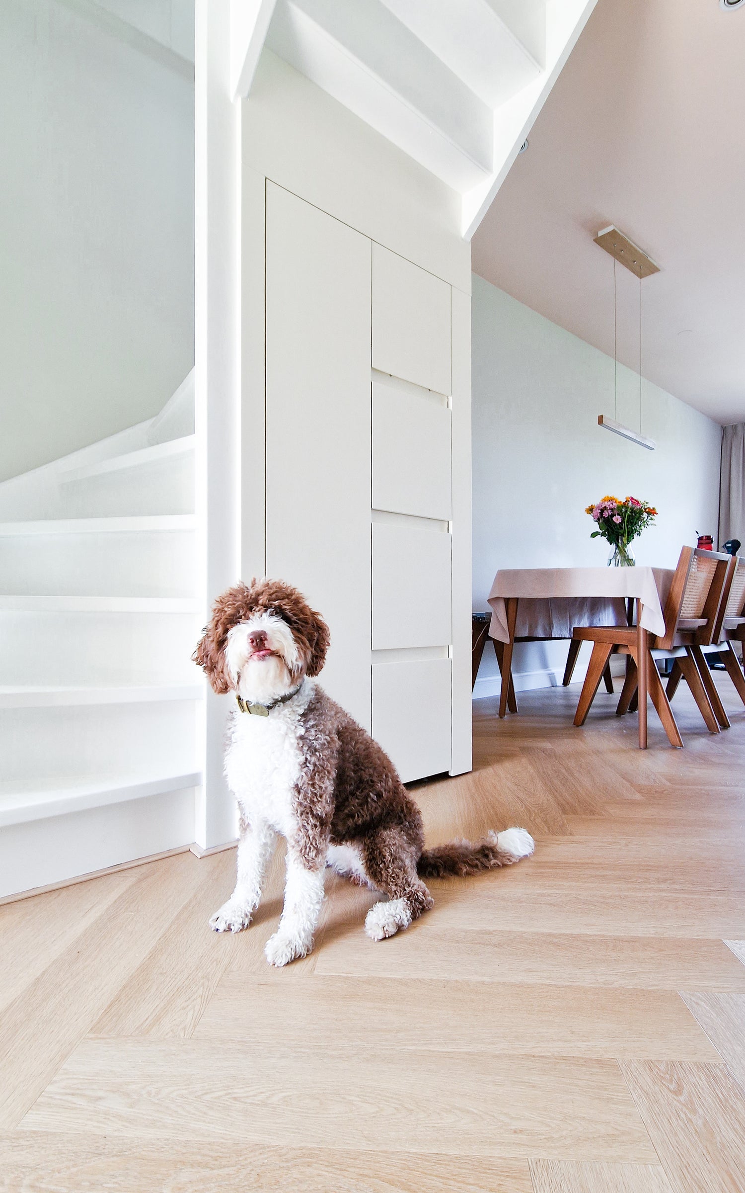 trapkast met hond en visgraatvloer in woonkamer